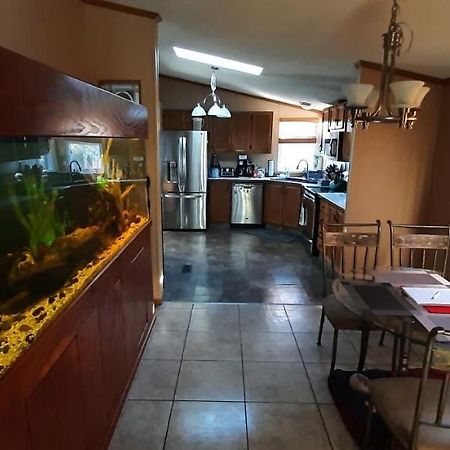 Private Pet Friendly Home Near Exotic Deer Farm Close To Pigeon Forge, Gatlinburg Tn Sevierville Dış mekan fotoğraf