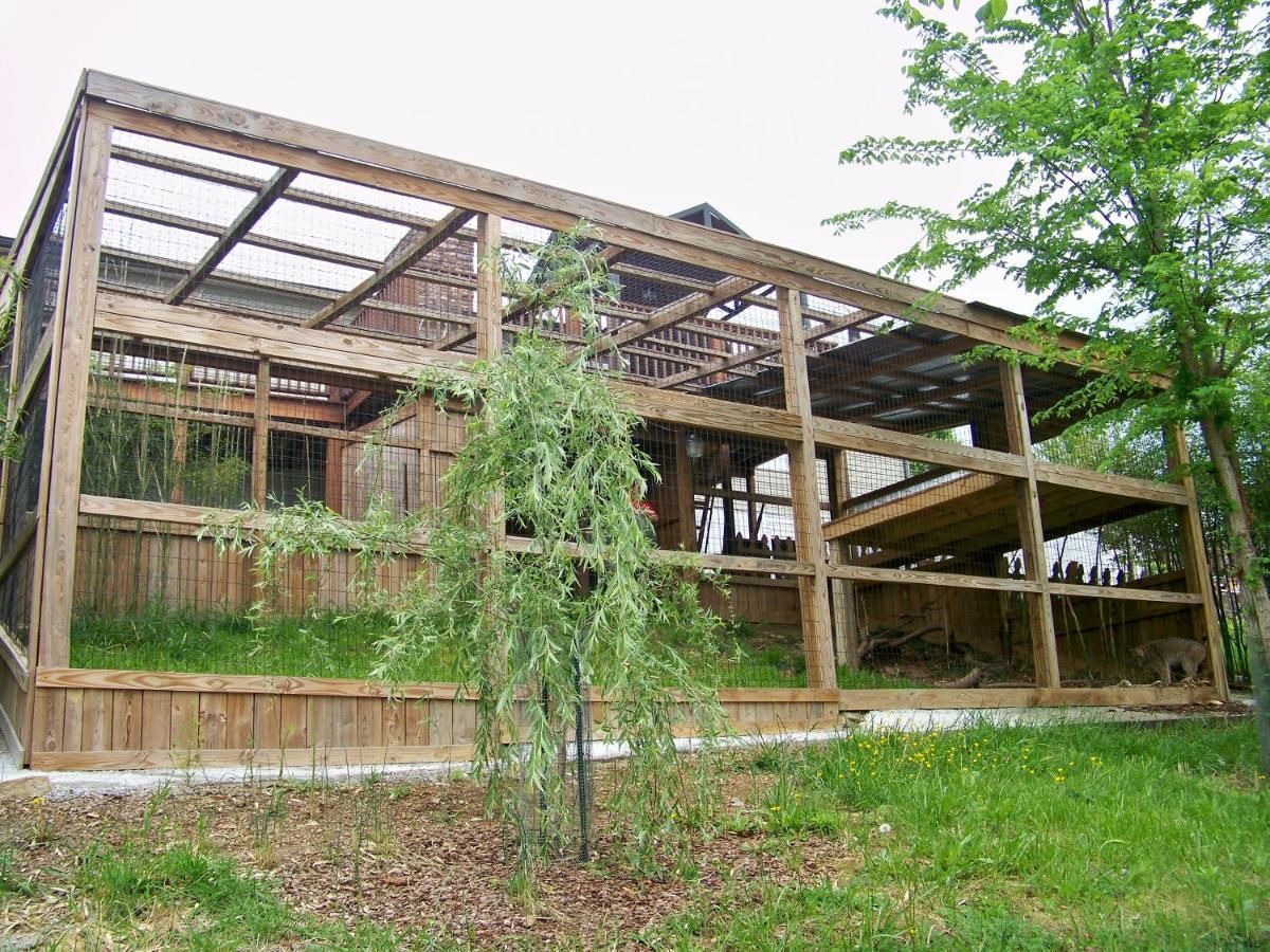 Private Pet Friendly Home Near Exotic Deer Farm Close To Pigeon Forge, Gatlinburg Tn Sevierville Dış mekan fotoğraf